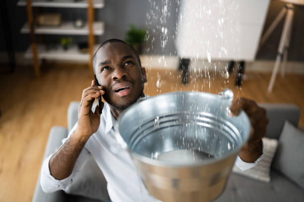 Best Mold removal after water damage  in Spring Valley, WI