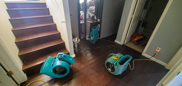 Best Water damage contractors near me  in Spring Valley, WI