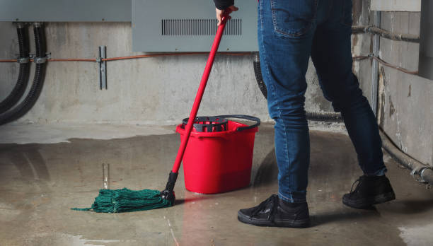 Best Basement water damage restoration  in Spring Valley, WI
