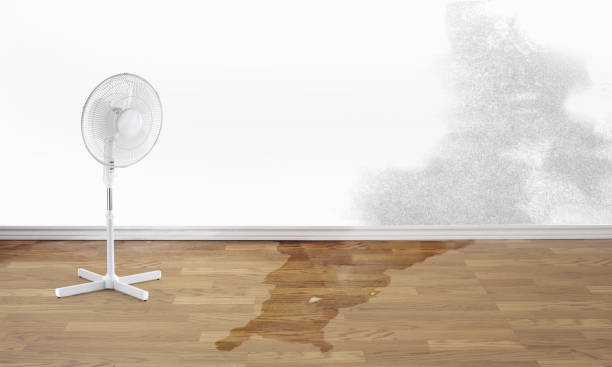 Best Residential water damage restoration  in Spring Valley, WI