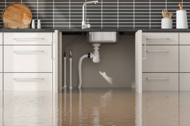 Best Flood restoration services  in Spring Valley, WI