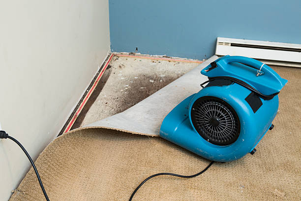 Best Fire Damage Restoration  in Spring Valley, WI
