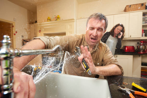Best Ceiling water damage repair  in Spring Valley, WI
